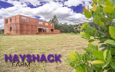 Hayshack Farm & Amanzi